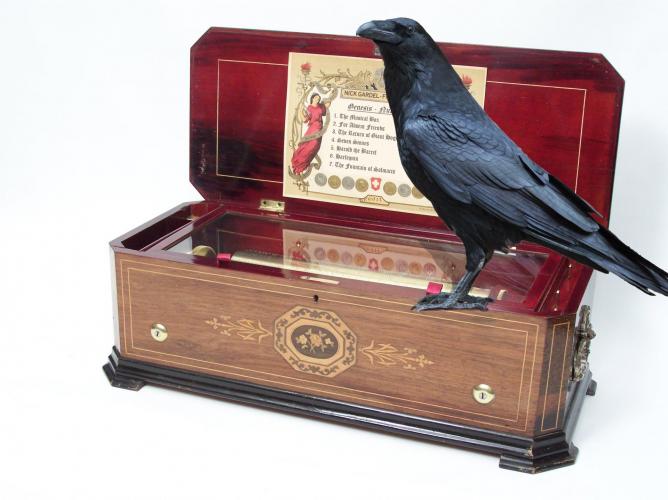 Corbeau musical box 2